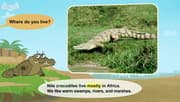 Meet the Animals 3 | Nile Crocodile | Wild Animals | Little Fox | Animated Stories for Kids