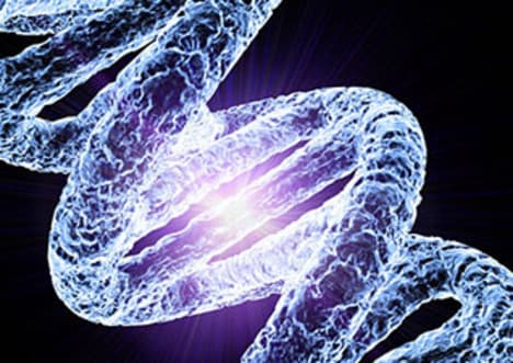 DNA