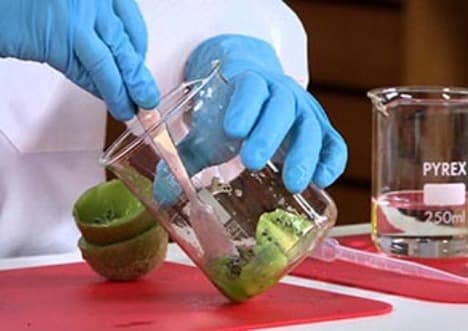 Kiwi Fruit DNA