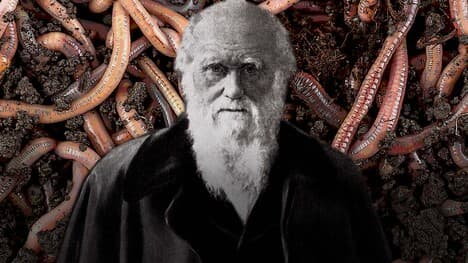 Darwin's Unexpected Final Obsession