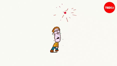 TED-Ed: How do heat waves affect your body? | Carolyn Beans
