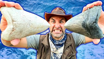 Shark Tooth Challenge! Digging for GIANT Megalodon Teeth! Part2