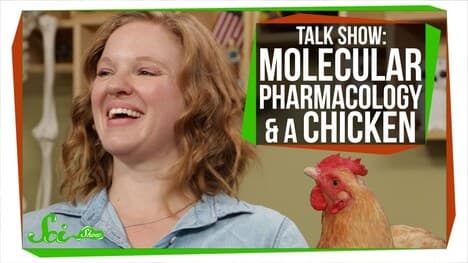 Neurology, Pharmacology, & Poultry | SciShow Talk Show