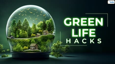 Green Living Hacks- Simple Steps for a Sustainable Lifestyle