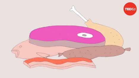 TED-Ed: What would happen if everyone stopped eating meat tomorrow? | Carolyn Beans