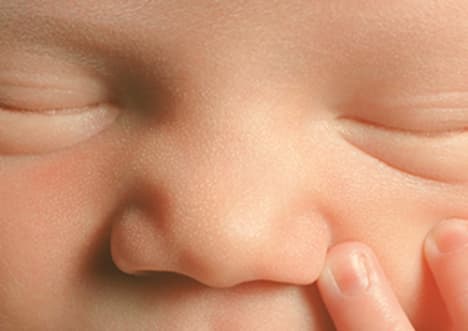 Developing Brain: Baby Brain