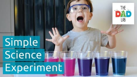 Science Experiment: Red Cabbage Changing Colours
