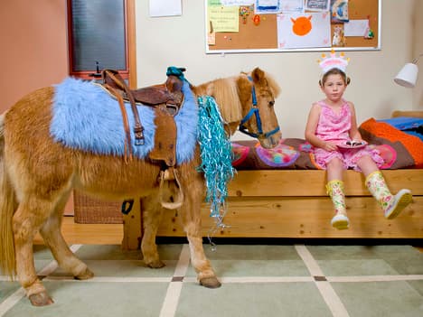Tolerance, Curiosity, Enthusiasm, Calmness, and Punctuality!