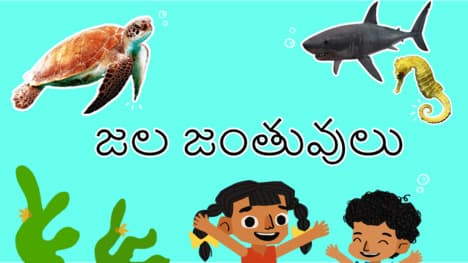 A Peek at Aquatic Animals - Telugu
