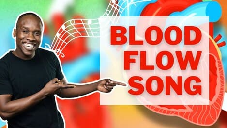 Blood Flow Song: How Blood Flows Through the Heart