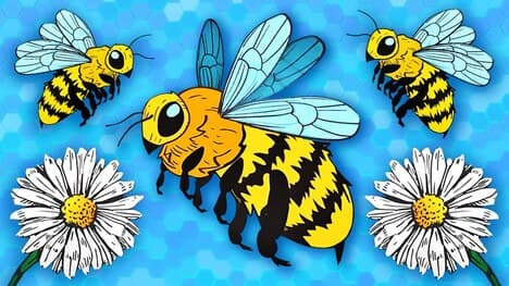 The Western Honey Bees Work Together To Maintain Hives! | The Western Honey Bee Song | KLT