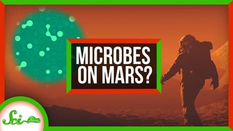 Microbes Might Survive on Mars | SciShow News