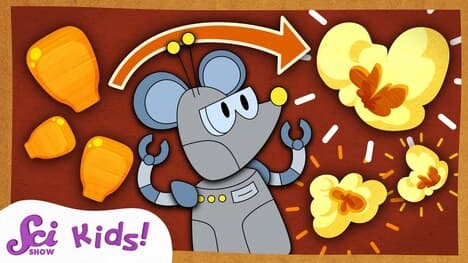 Why Does Popcorn Pop? | The Science of Food! | SciShow Kids