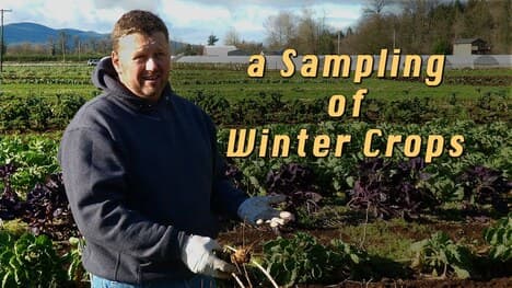 Seasonal Challenges and Varieties in Sustainable Farming