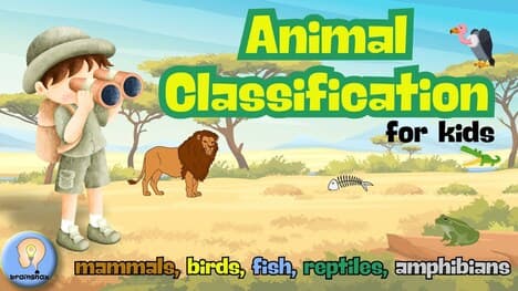Animal Classification for Kids