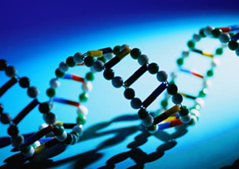 What is DNA?