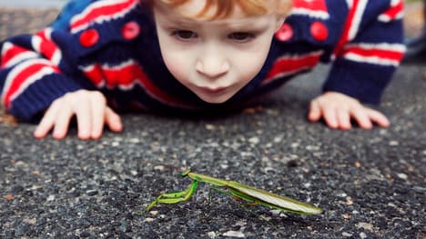 The Importance of Tolerance: A Story of Resilience and Growth