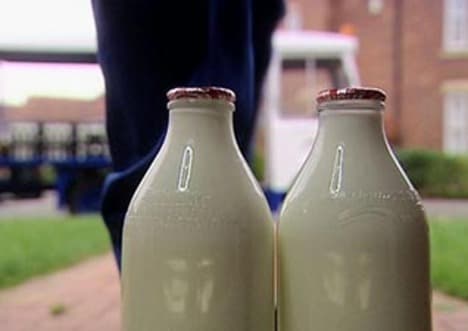 Microbes in Milk