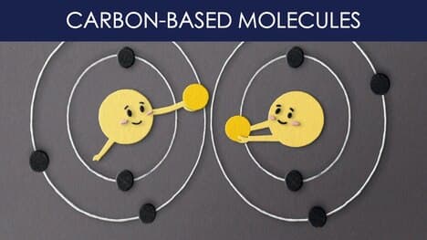 What are carbon-based molecules