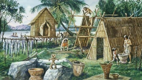 The Beginnings of Human Civilization