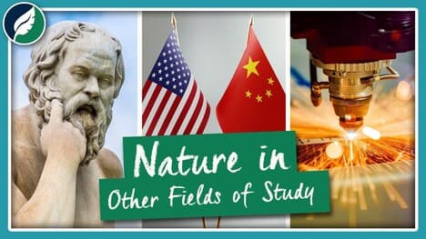 Exploring Nature In Other Disciplines | Compilation