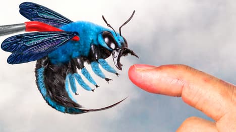 How Does the Sting of a Blue Bee Compare to Other Stinging Insects?