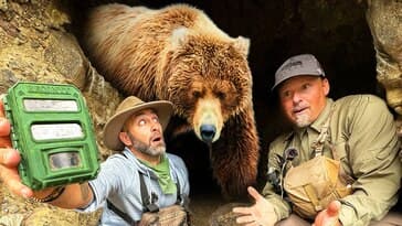 Found in a Grizzy Bear Cave!