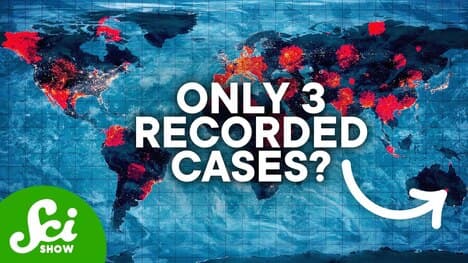Around The World In 7 Diseases