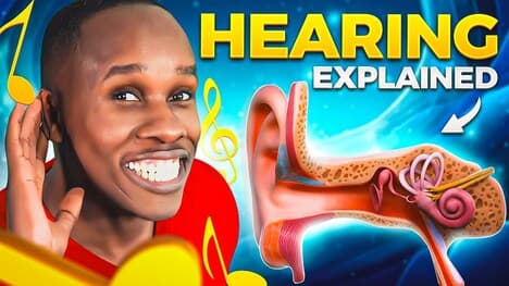 The Hearing Song: How Hearing Works - it’s CRAZY!