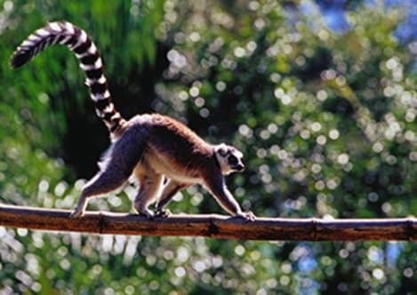 What is a habitat?