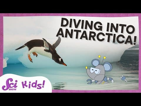 Exploring Antarctica: From Penguins to the Coldest Seas