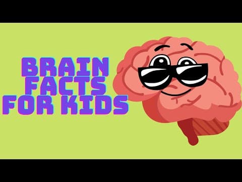 Does The Brain Ever Sleep? | Brain Facts For Kids