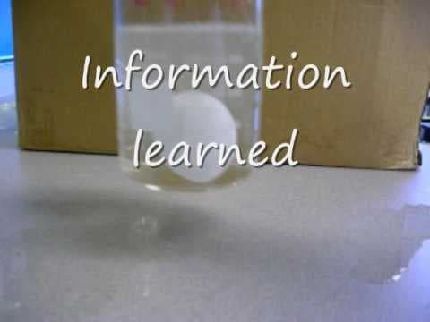 Science Project Video Using Scientific Method Amazing Floating Egg by Mr. Plattner