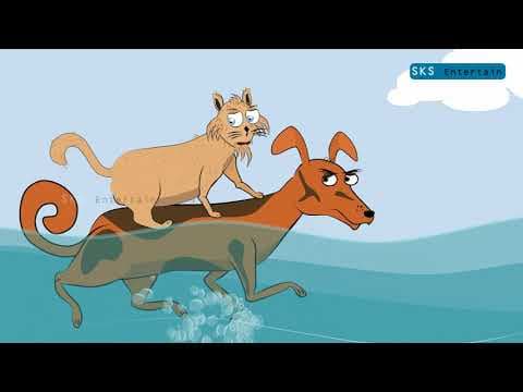 CARTOON Cat & Dog Fight Story | kutta aur billi ki kahani | cartoon wala | cartoon video hindi