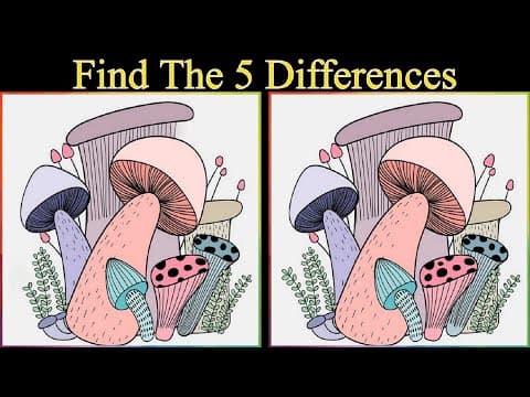Have you ever seen such a difficult spot the difference game? Try this one first!
