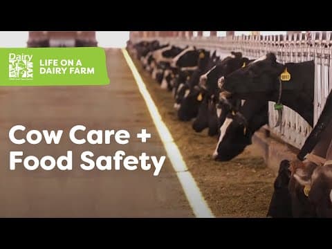 From The Farm To The Tridge-Milk