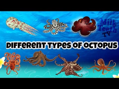 Octopus Facts and Pictures | Types of octopus for general knowledge | Famous Octopus Species