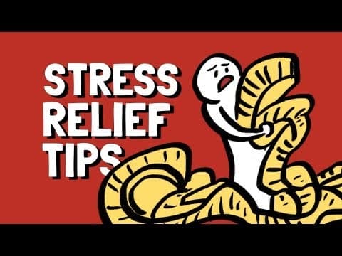 Stress management strategies: ways to unwind