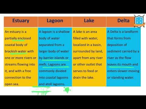 What is Estuary- Lagoon - Lake - Delta ? || Estuary- Lagoon - Lake - Delta అంటే ఏమిటి?