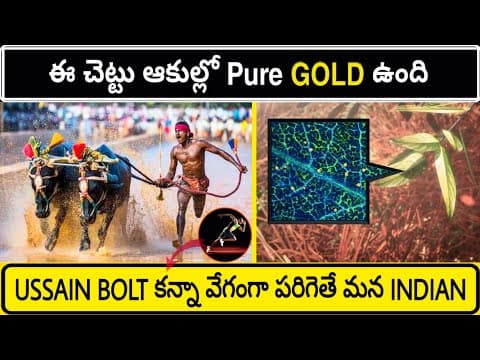 Top 10 Interesting Facts In Telugu  -  Mana Badi New Episodes 3  -  10 unknown facts in telugu Facts