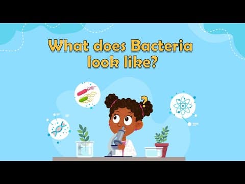 What does Bacteria look like? - What is bacteria for kids - Bacteria facts for kids