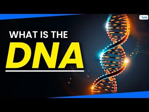 What is the DNA? | What is the Function of DNA?