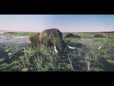 Explore the world in 4k 360 i full documentary