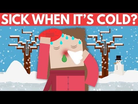 Why Do You Get Sick When It's Cold? - Dear Blocko #9 - YouTube