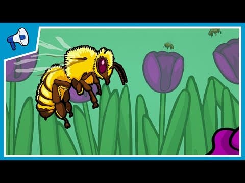 How Does Cooperation Evolve? - YouTube
