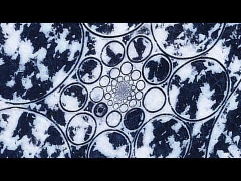 What are these bizarre circles on the russian ice?