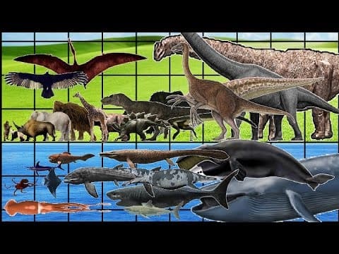 All animals dinosaurs and sea monsters size comparison