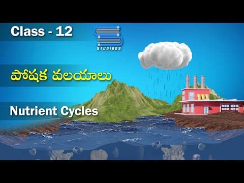పోషక వలయాలు – Nutrient Cycles | Ecosystem Chapter | Biology Telugu