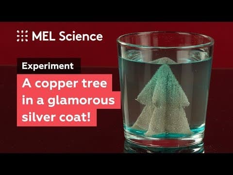 How to make a glamorous silver tree from copper and salt Silver tree experiment