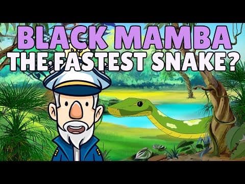 Snakes for Kids | Facts about Snakes for Kids